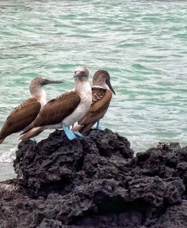 Galapagos Multi-Sport Adventure