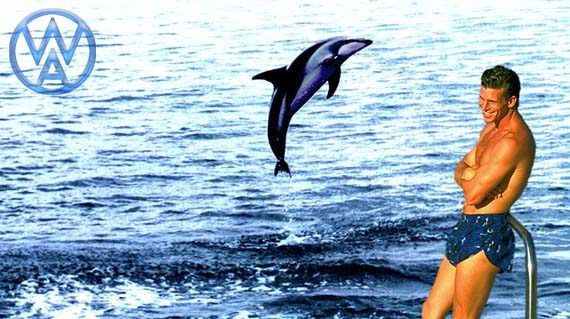 570x319_kiwi_nz_dolphin_itingallery-570x319